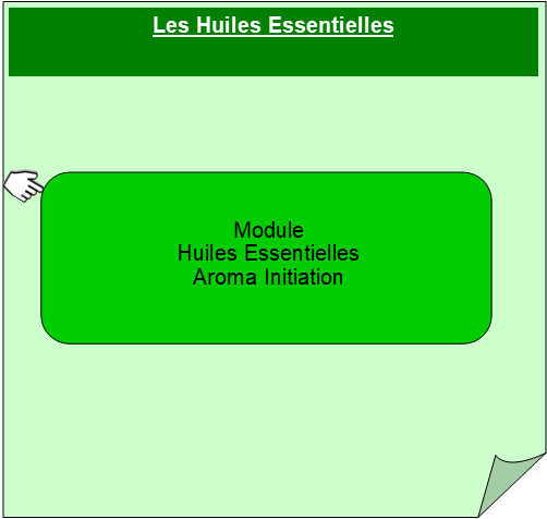 Visuel Formation Huiles essentielles Initation