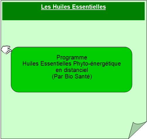 Visuel Formation Huiles essentielles Phytoénergétique en distanciel par Bio Santé