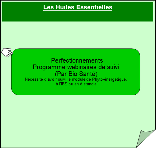 Visuel Formation Huiles essentielles perfectionnement webinaires Bio Santé