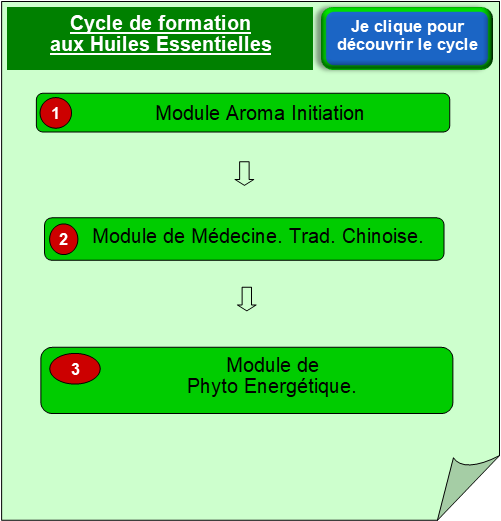 Formation en Huiles essentielles