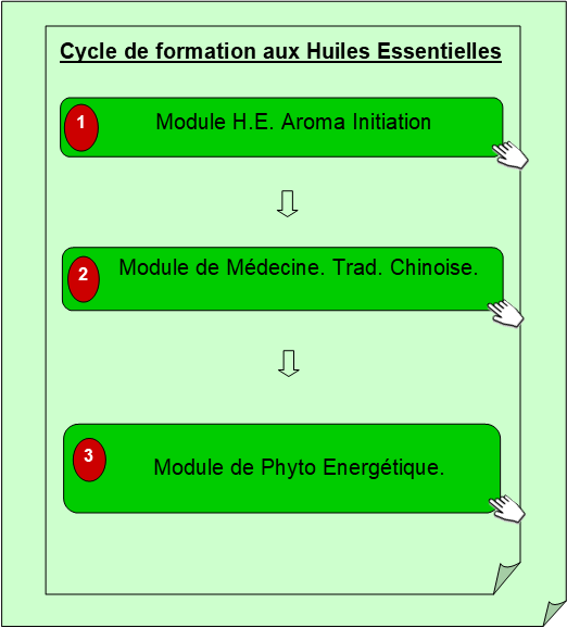 Premier cycle - Huiles essentielles