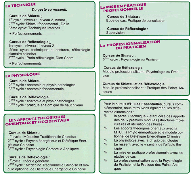 schema, l'esprit de la formation