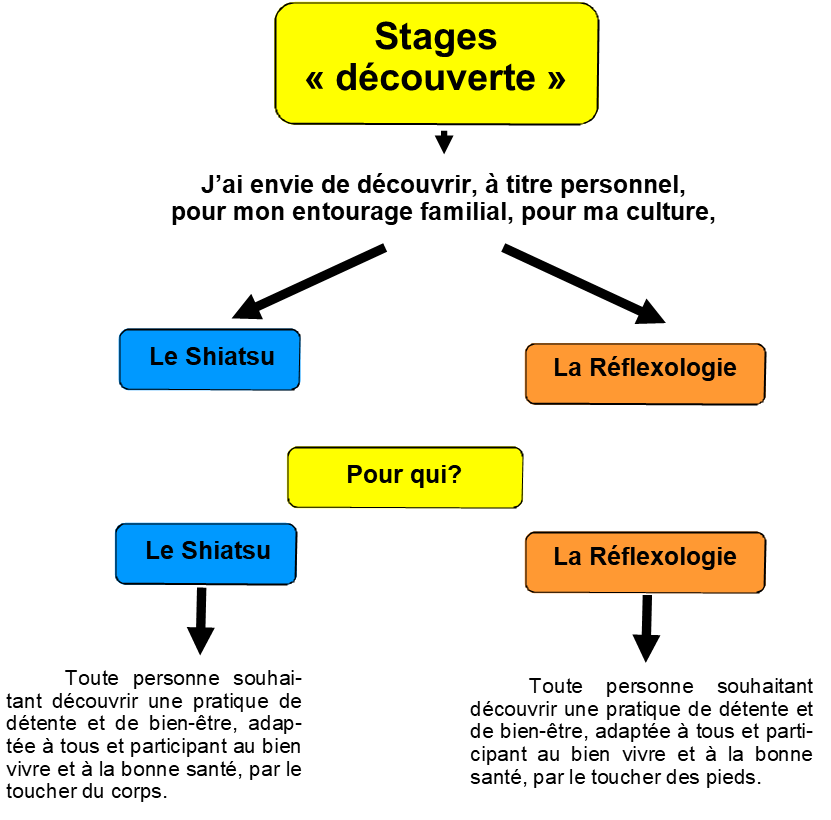 Stage découverte 1