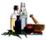 Representation graphique miniature du 1er Cycle Shiatsu