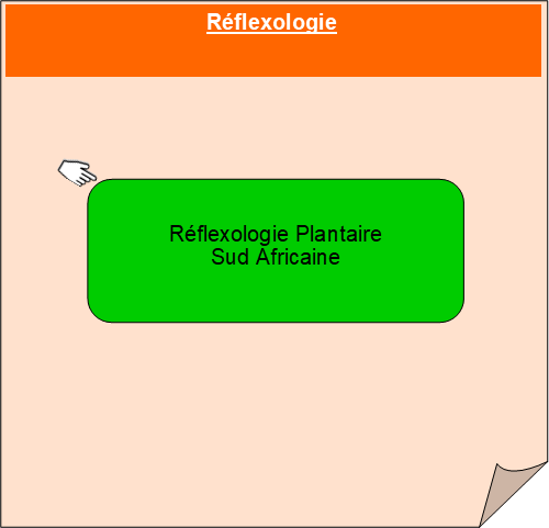 Visuel Formation en Réflexologie sud-africaine