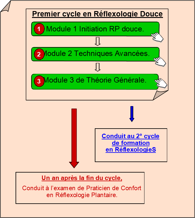 Premier cycle - Réflexologie Douce