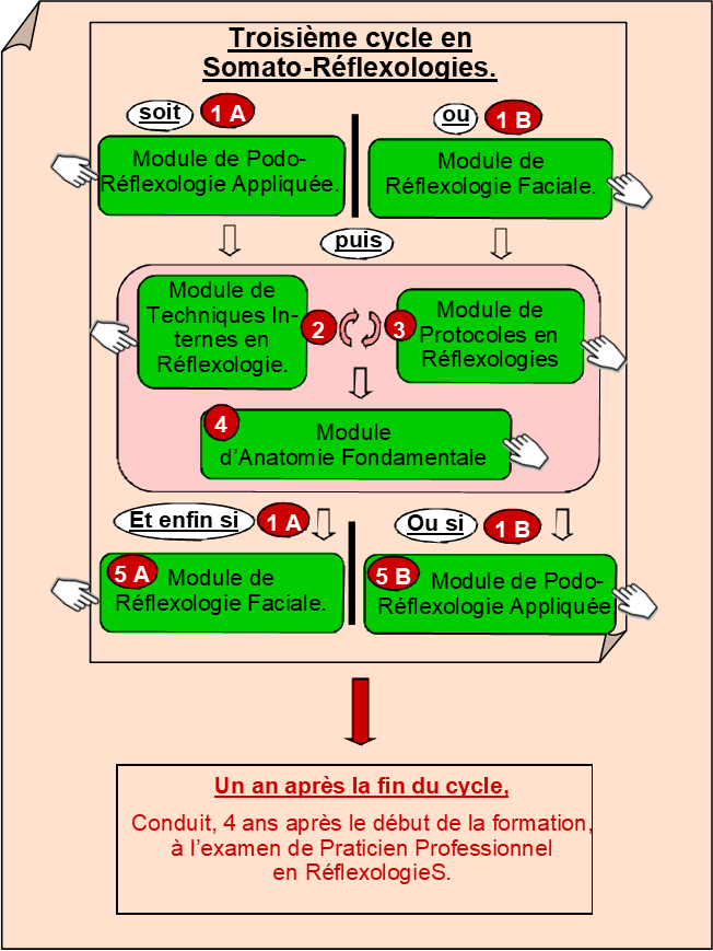 Troisième cycle - Somato Réflexologies