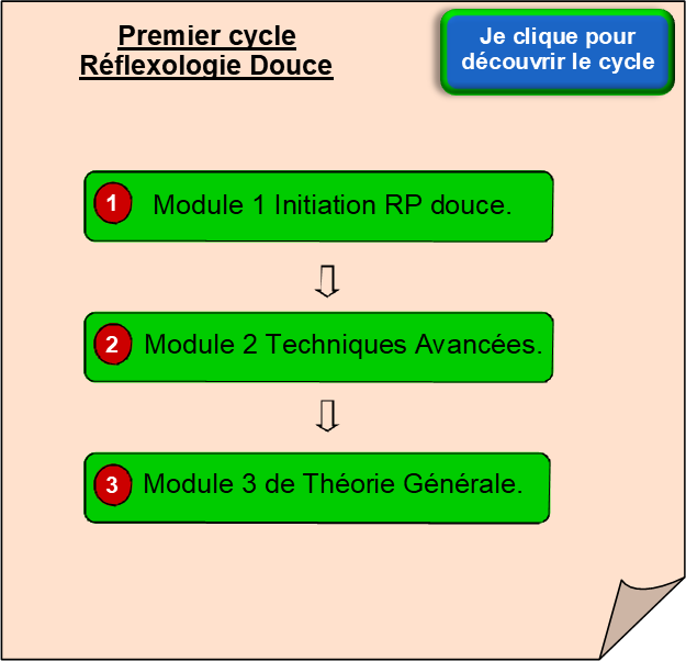 Premier cycle - Réflexologie douce