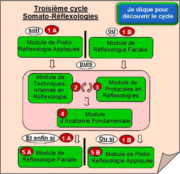 Premier cycle - Somato Réflexologies