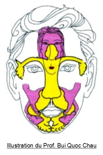 Schema des zones Réflexe du visage du Pr Bui Quoc Chau