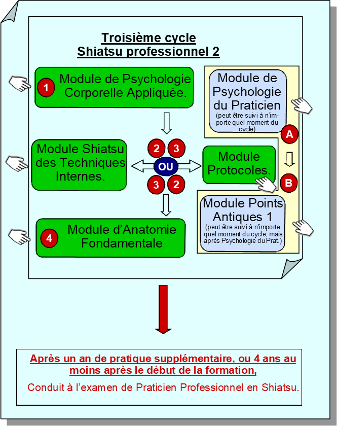 Troisième cycle - Shiatsu professionnel 2