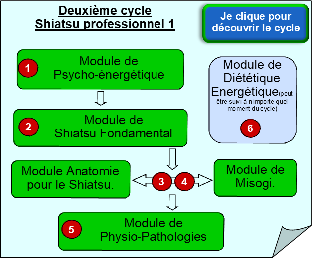 Premier cycle - Shiatsu de confort