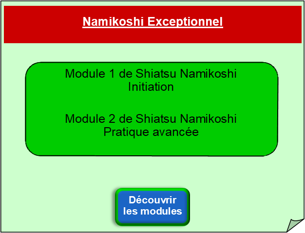 Formation Shiatsu - Formation Namikoshi exceptionnel