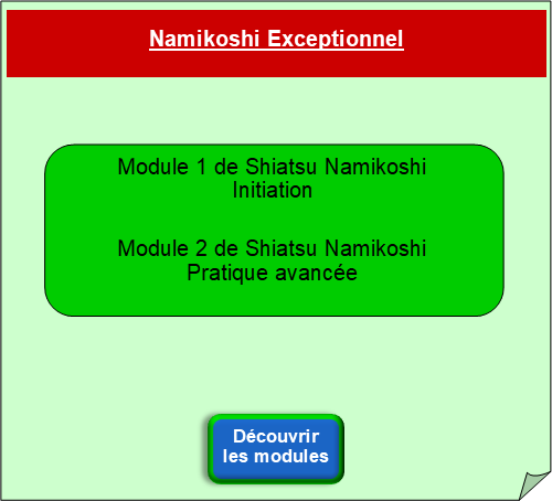 Formation Shiatsu - Formation Namikoshi exceptionnel